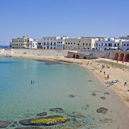 Concettina Gallipoli